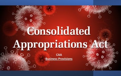 Business benefits of the Consolidated Appropriations Act