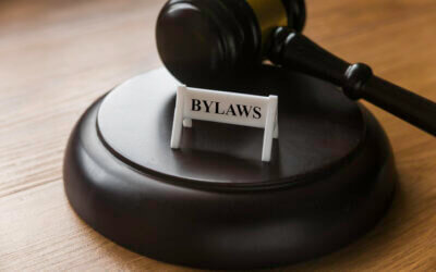 Your nonprofit’s bylaws