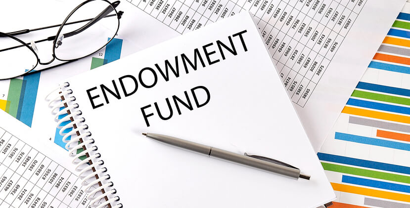 Are you ready for endowments?